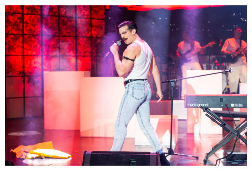 READY FREDDIE SHOW